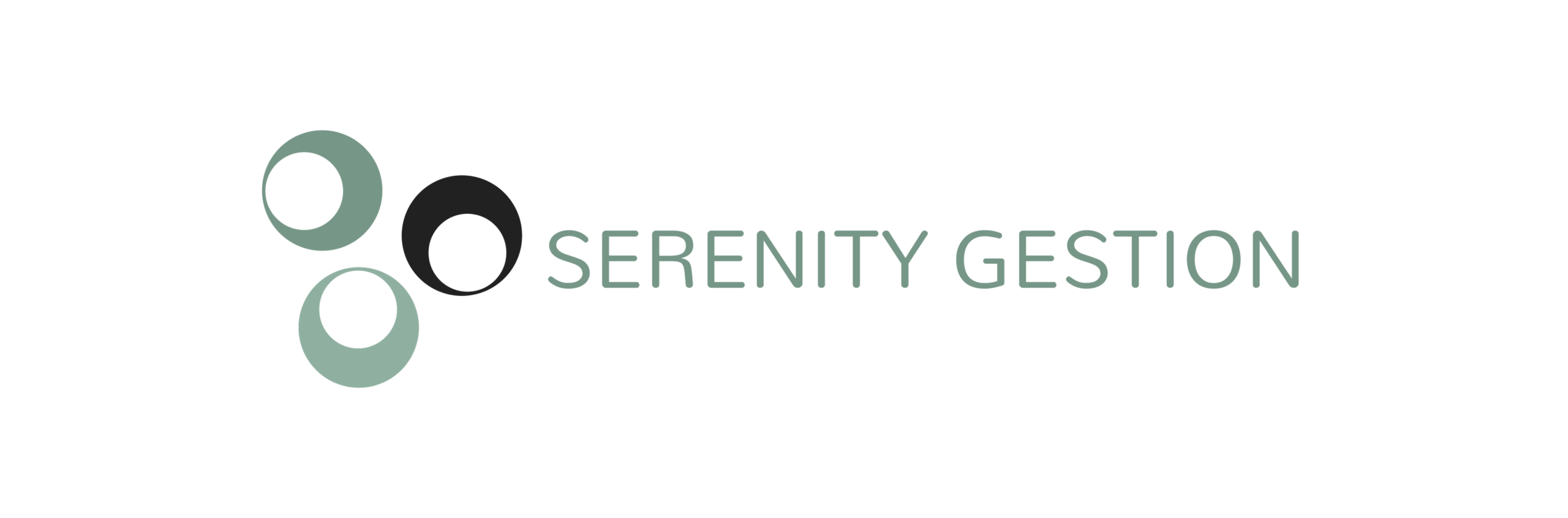 Logo de SERENITY GESTION